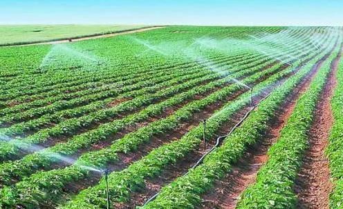 热逼片农田高 效节水灌溉